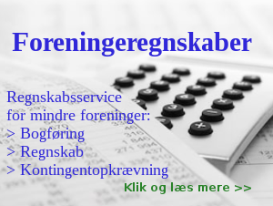 Foreningsregnskaber